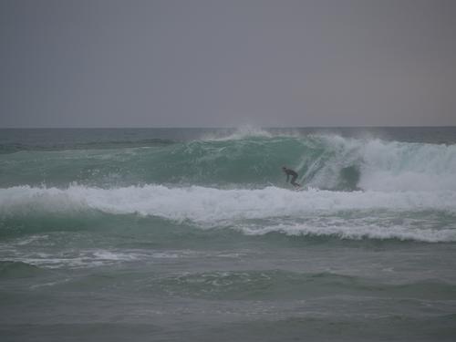 Le Cap Ferret - 2021 June 18 - by Lulu