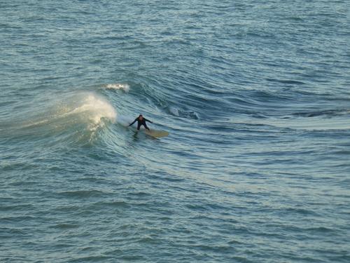 Samena - 2025 November 09 - by Lou